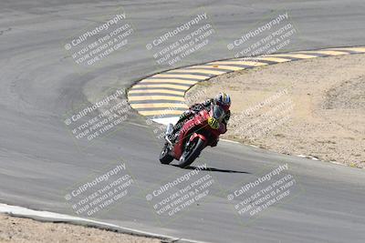 media/Apr-20-2025-CVMA (Sun) [[39090e8767]]/Race 11-500-350 Supersport (Holeshot)/